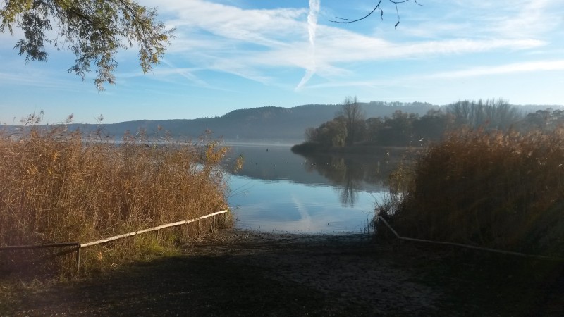 Tauchgang am Bodensee