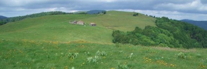 Wanderung auf den   Gazon du Faing in den Vogesen 