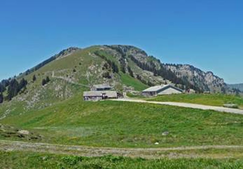 Bergwanderung   auf den Gulmen (CH) 