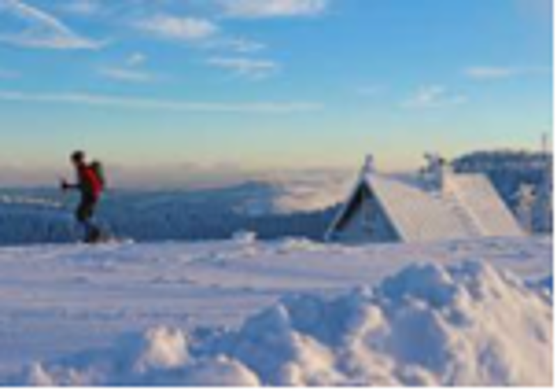 Schneeschuhwandern im Schwarzwald