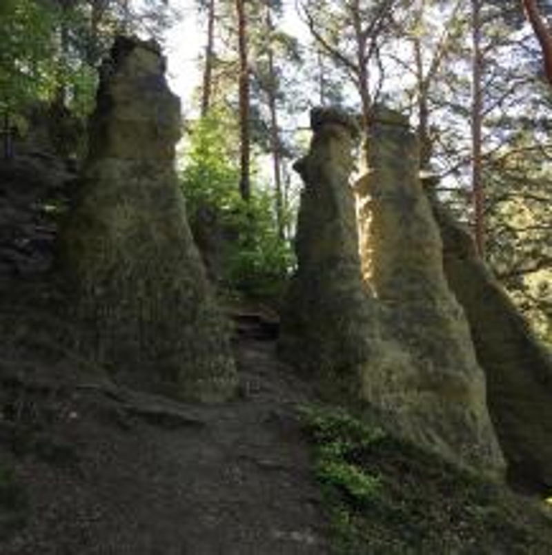 Wanderung am 29.6. - Spetzgarter Tobel, Haldenhof über dem Überlinger See